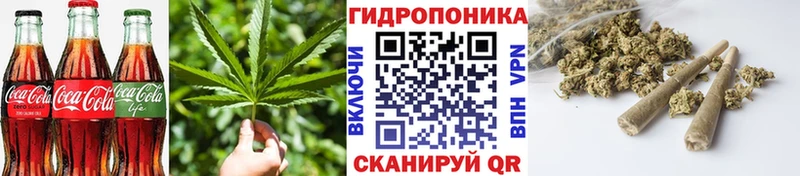 наркота  omg зеркало  Печенье с ТГК марихуана  Данков 