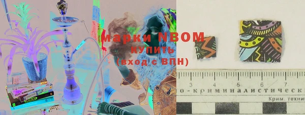 ГАЛЛЮЦИНОГЕННЫЕ ГРИБЫ Гусь-Хрустальный
