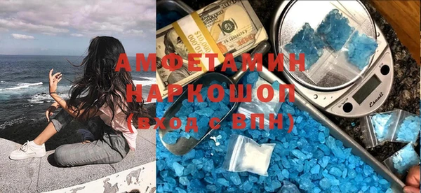 ГАЛЛЮЦИНОГЕННЫЕ ГРИБЫ Гусь-Хрустальный