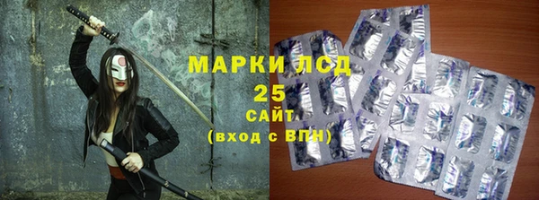 ГАЛЛЮЦИНОГЕННЫЕ ГРИБЫ Гусь-Хрустальный