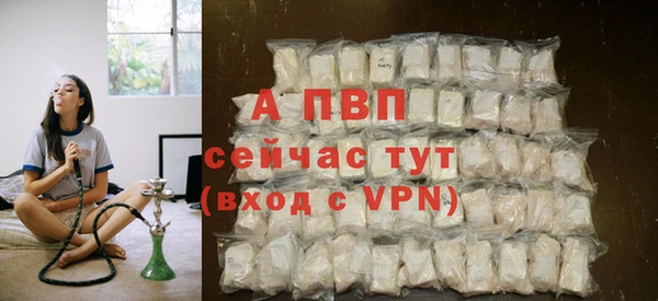 ГАЛЛЮЦИНОГЕННЫЕ ГРИБЫ Гусь-Хрустальный