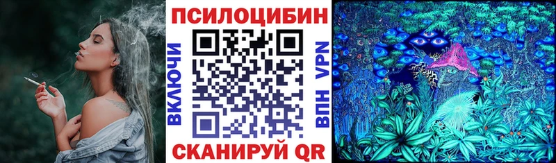 как найти закладки  Данков  Псилоцибиновые грибы Cubensis 